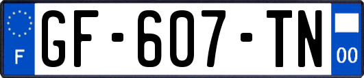 GF-607-TN
