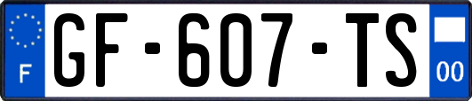 GF-607-TS