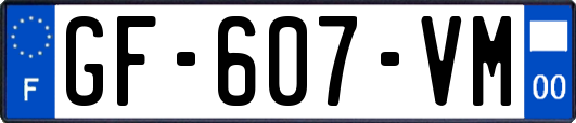 GF-607-VM