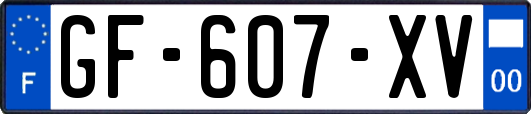 GF-607-XV