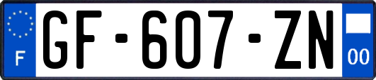 GF-607-ZN