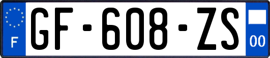 GF-608-ZS