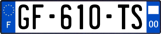 GF-610-TS