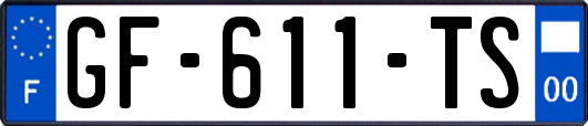 GF-611-TS