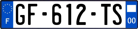 GF-612-TS