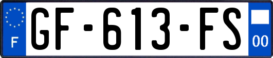 GF-613-FS