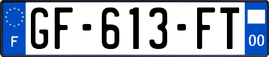 GF-613-FT