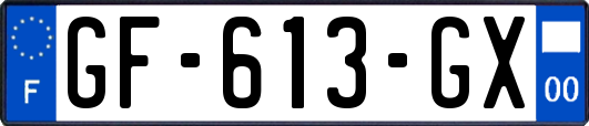 GF-613-GX