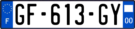 GF-613-GY