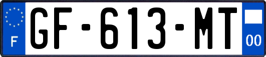 GF-613-MT