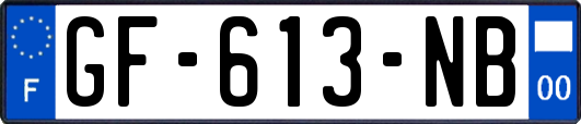 GF-613-NB