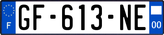GF-613-NE