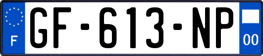 GF-613-NP