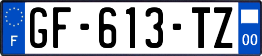 GF-613-TZ