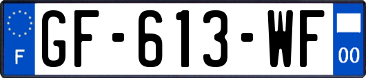 GF-613-WF