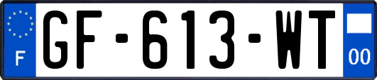 GF-613-WT
