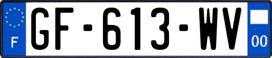 GF-613-WV