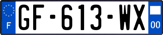 GF-613-WX