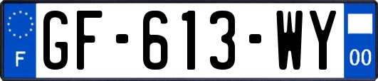 GF-613-WY