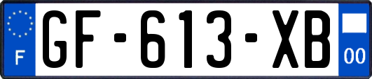GF-613-XB