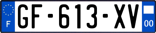 GF-613-XV