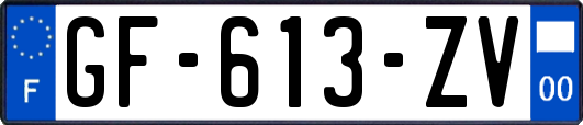 GF-613-ZV