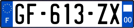 GF-613-ZX