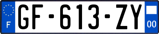 GF-613-ZY