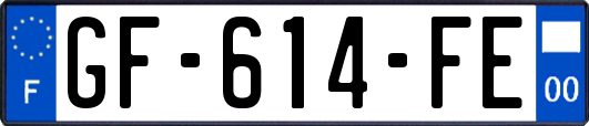 GF-614-FE