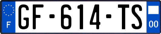 GF-614-TS