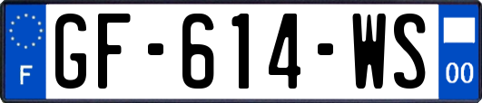 GF-614-WS