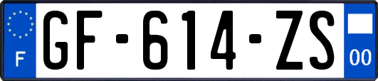 GF-614-ZS