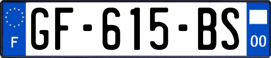 GF-615-BS