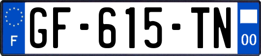 GF-615-TN