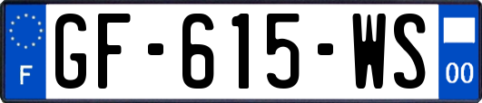 GF-615-WS