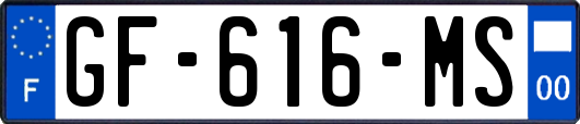 GF-616-MS