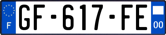 GF-617-FE