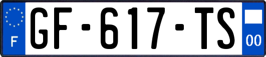 GF-617-TS