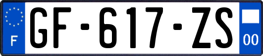 GF-617-ZS