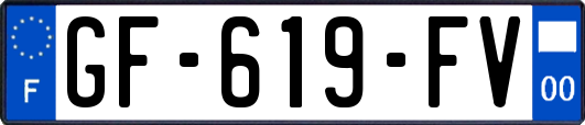 GF-619-FV