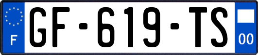 GF-619-TS