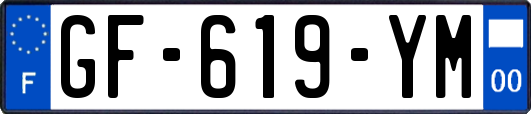 GF-619-YM