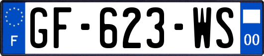 GF-623-WS