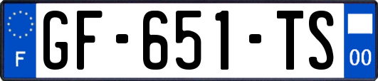 GF-651-TS