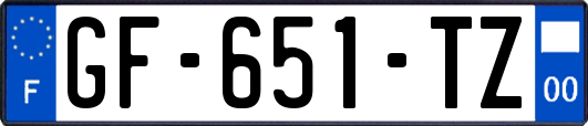 GF-651-TZ