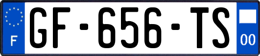 GF-656-TS
