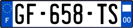 GF-658-TS