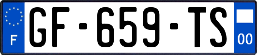 GF-659-TS