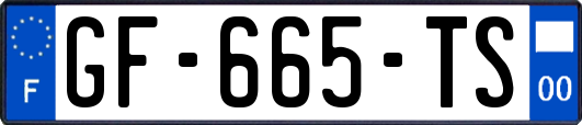 GF-665-TS