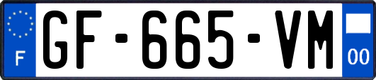 GF-665-VM